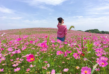 伏热花海庄园第 12 张图片