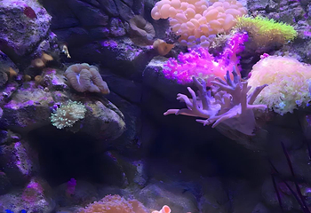 海滨城浩海立方海洋公园第 68 张图片