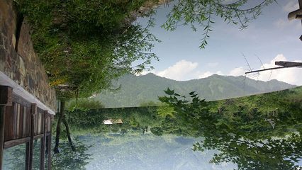 守拙园第 49 张图片