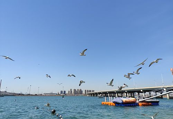 大连滨海国家地质公园第 28 张图片