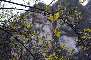 亚武山风景名胜区第 12 张图片