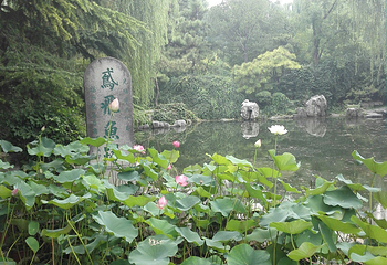 趵突泉景区第 348 张图片
