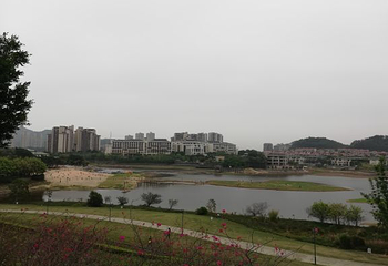 白鹭湖沙滩第 12 张图片
