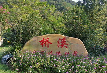 雁南飞茶田景区第 65 张图片