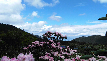 老君山九十九龙潭景区第 12 张图片