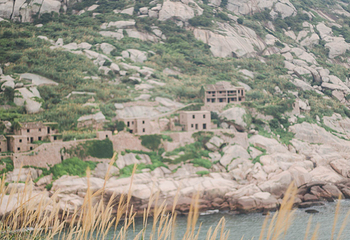 青浜第 18 张图片