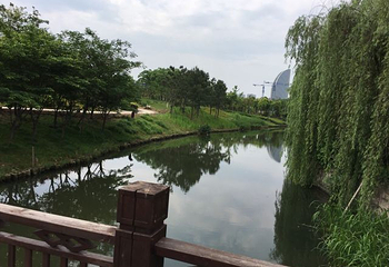 镜湖国家城市湿地公园第 29 张图片