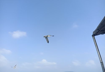 八仙雕塑第 20 张图片