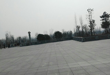 江苏睢宁白塘河湿地公园第 18 张图片