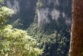 油杉河景区第 12 张图片