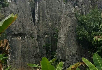 思南石林风景区第 21 张图片