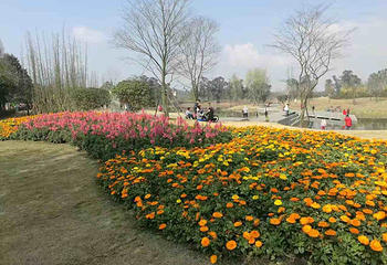 天池公园第 5 张图片