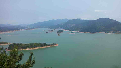 高州水库第 11 张图片