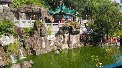 啬色园黄大仙祠第 29 张图片
