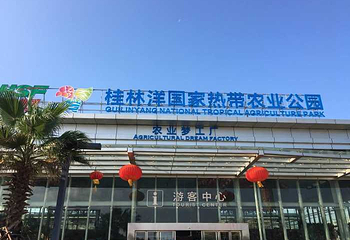 桂林洋国家热带农业公园第 34 张图片