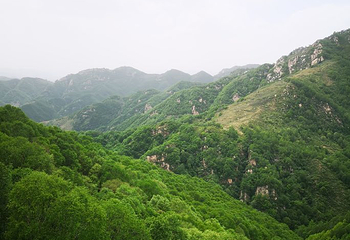 驼梁风景区第 36 张图片