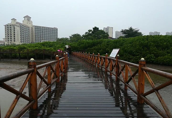 富力红树湾湿地公园第 44 张图片