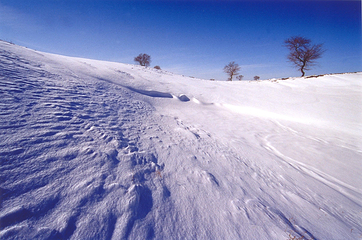 塞罕坝滑雪场第 14 张图片