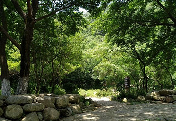 姚家山风景区第 25 张图片