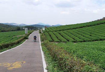 龙池山自行车公园第 28 张图片