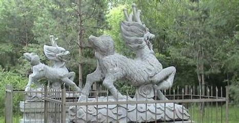 水师森林公园第 4 张图片