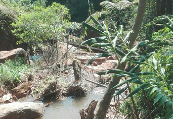 赤水白马溪景区第 21 张图片