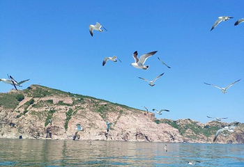 长岛海上游第 47 张图片