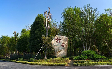 朴园第 5 张图片