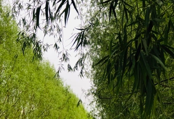 永昌北海子公园第 3 张图片