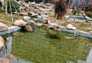 威海乳山滴水湾温泉第 60 张图片