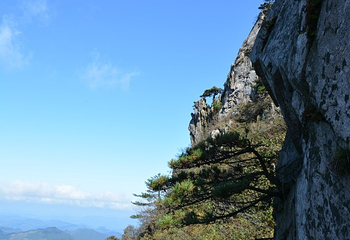 万佛山第 19 张图片