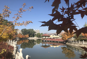 东郊公园第 8 张图片