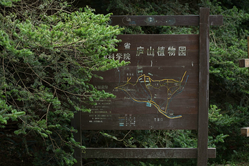 庐山植物园第 25 张图片