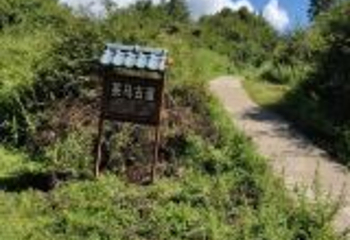 拉市海海蓝云天马场第 23 张图片