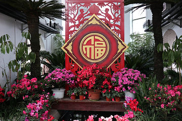 江南公园第 19 张图片