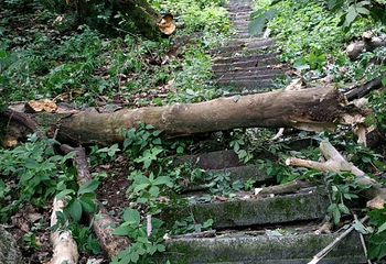 终南山南五台景区第 157 张图片