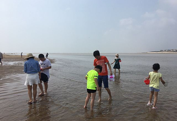 万宝赶海园第 18 张图片