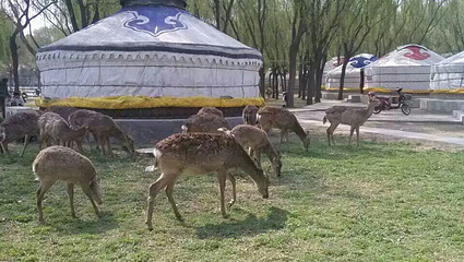 赛汗塔拉旅游娱乐园第 5 张图片