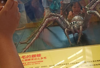 上海科技馆第 54 张图片