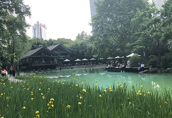 静安公园第 6 张图片