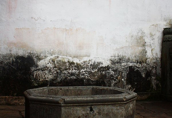 天童禅寺第 40 张图片
