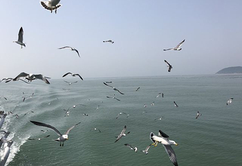 长岛海上游第 53 张图片