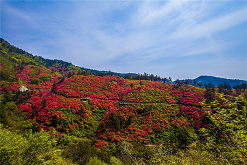 木兰云雾山第 68 张图片