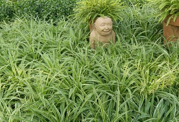 南和农业嘉年华第 20 张图片