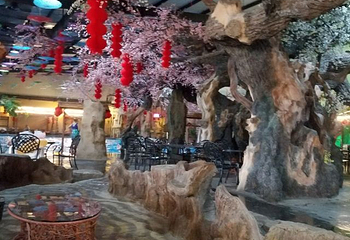 长春天怡温泉度假山庄第 52 张图片