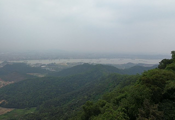 大雁山风景区第 31 张图片