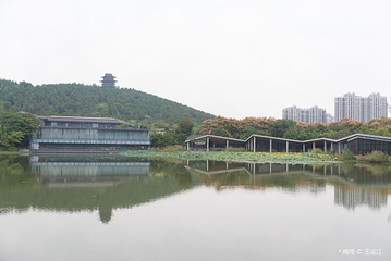 徐州汉文化景区第 91 张图片
