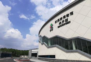 米开朗冰淇淋博物馆第 33 张图片