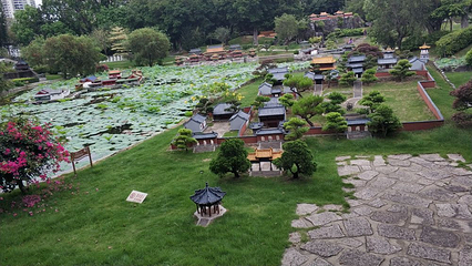 深圳华侨城旅游度假区第 51 张图片