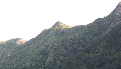 关山森林公园第 5 张图片